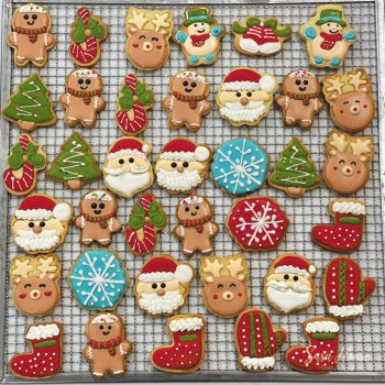 Hh 0028 Set Cookie Icing 3